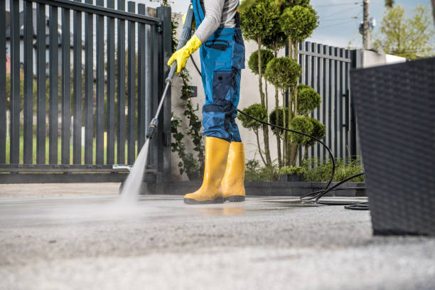 Professional Pressure Washing Services in Priceville, AL